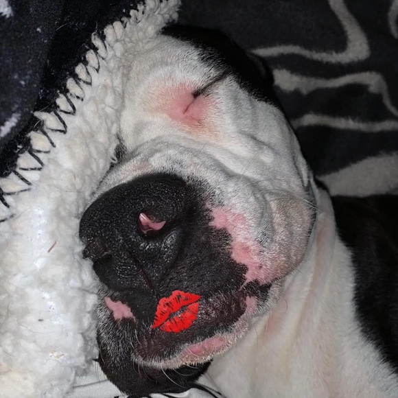 Live Share Show 12/03/2024 1:00pm cst - Picture 5 of 9